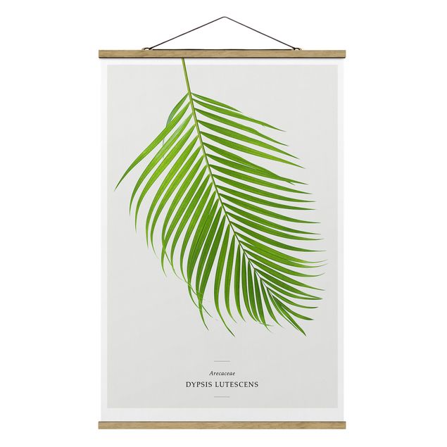 Foto su tessuto da parete con bastone - Foglia tropicale Areca Palm - Verticale 3:2