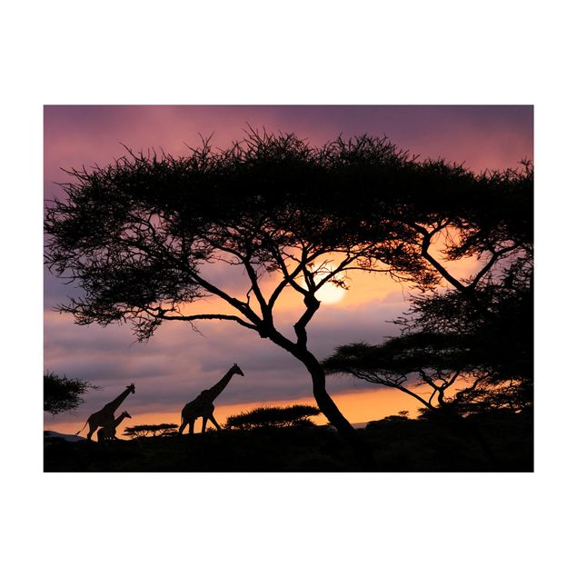 Tappeto nero salotto Safari africano