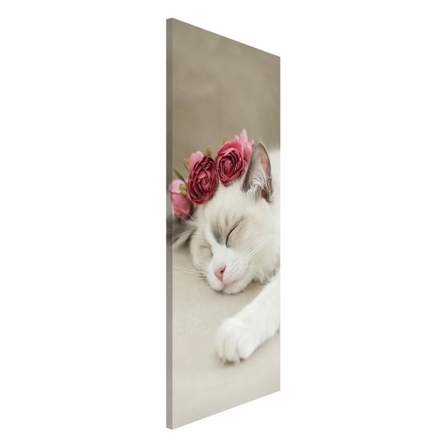 stampe animali Gatto addormentato con rose