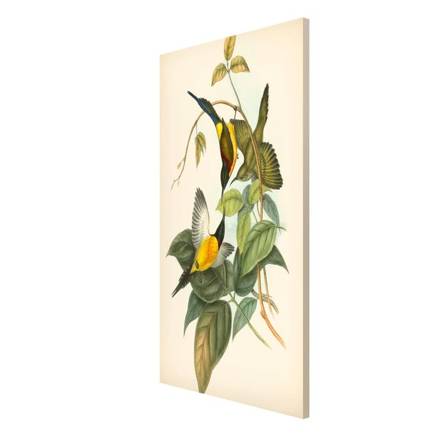 Lavagna magnetica - Illustrazione Vintage Tropical Birds IV - Formato verticale 4:3