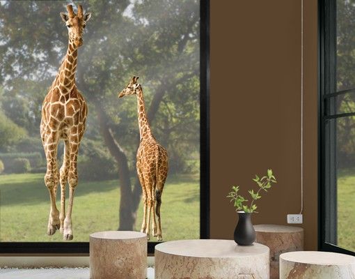 Pellicola per vetri per salone Due giraffe