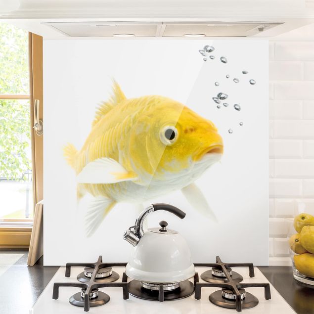 paraschizzi cucina vetro magnetico Pesce rosso giallo