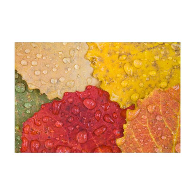 Tappeti moderni colorati Gocce d'acqua su foglie colorate