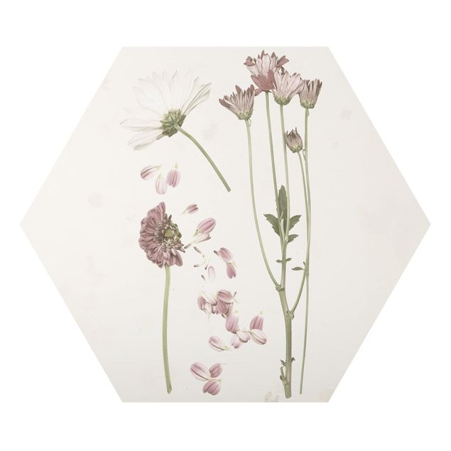 Esagono in Alluminio Dibond - Herbarium In Pink III