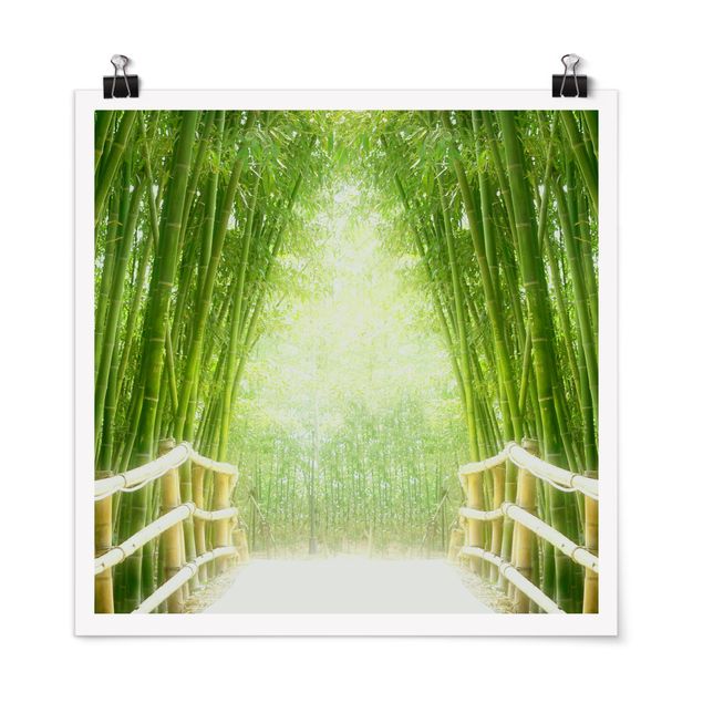 Poster - Bamboo Way - Quadrato 1:1