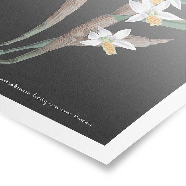 Poster - White Orchid su tela di canapa I - Verticale 3:2