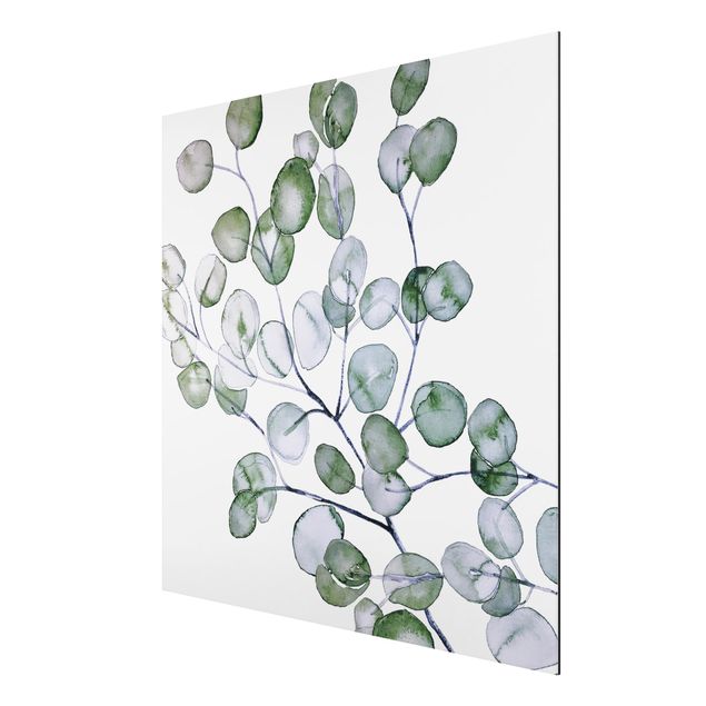 Stampa su alluminio - Ramo di eucalipto in acquerello verde