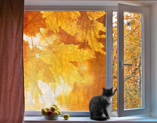 Pellicola per vetri con erbe Autumn Leaves
