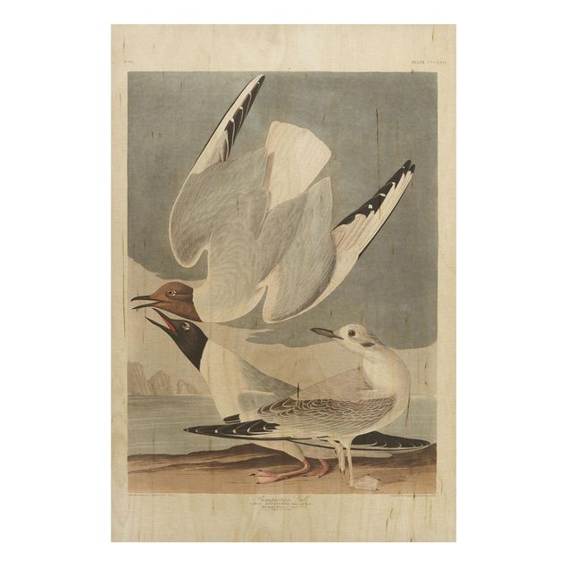 Stampa su legno - Vintage Consiglio Bonaparte Gull - Verticale 3:2