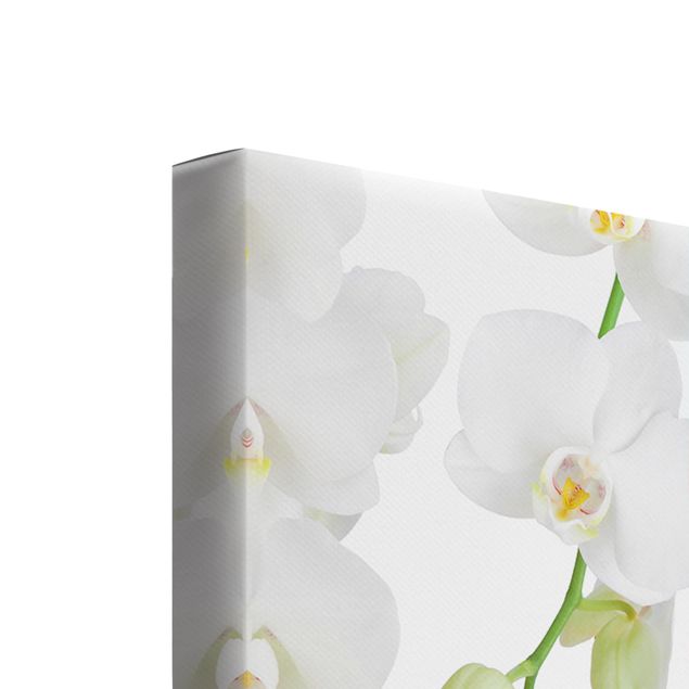 Stampa su tela 3 parti - Orchids On Water - Quadrato 1:1