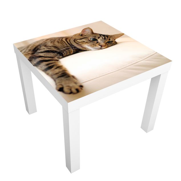 Carta adesiva per mobili IKEA - Lack Tavolino Cat Chill Out