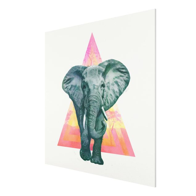 Stampa su Forex - Illustrazione Elephant anteriore Triangolo Pittura - Quadrato 1:1