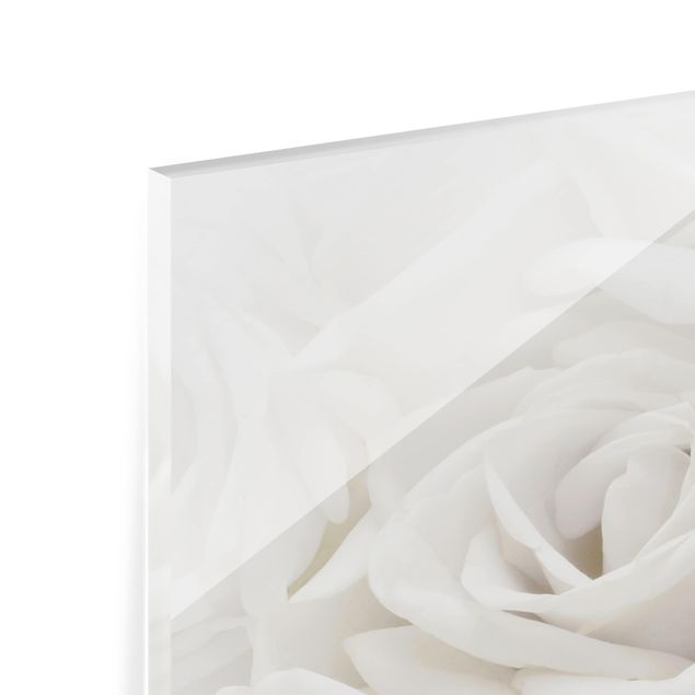 Paraschizzi in vetro - White Roses