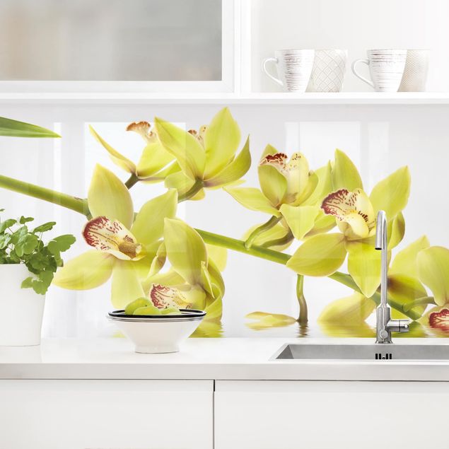 Rivestimenti cucina pannello Eleganti acque di orchidea