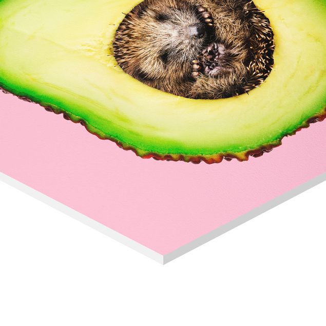 Esagono in forex - Avocado Con Hedgehog