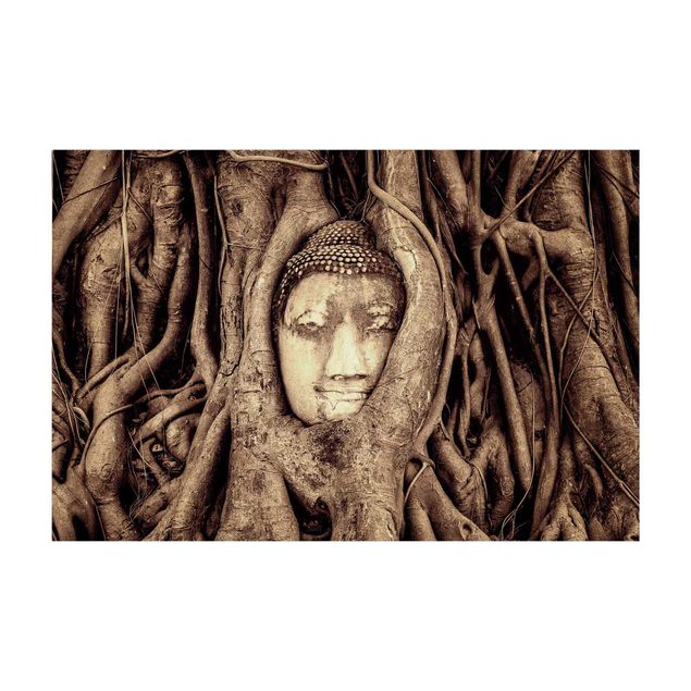 Tappeti foresta Buddha ad Ayutthaya rivestito dalle radici degli alberi in marrone