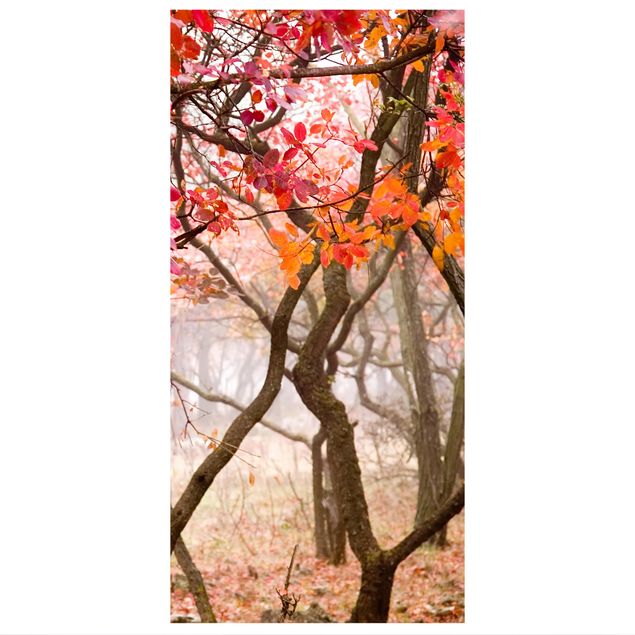 Tenda a pannello Japan in autumn 250x120cm