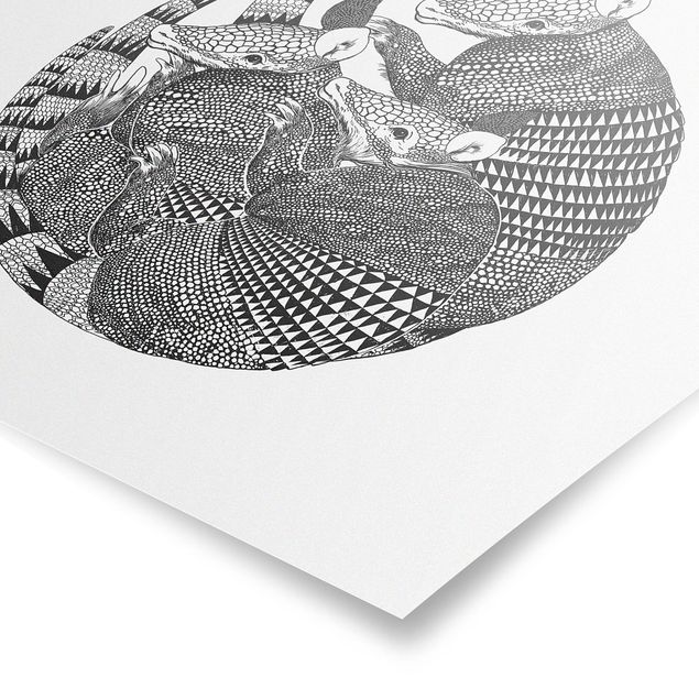 Poster - Illustrazione del modello Armadillos Bianco e nero - Quadrato 1:1