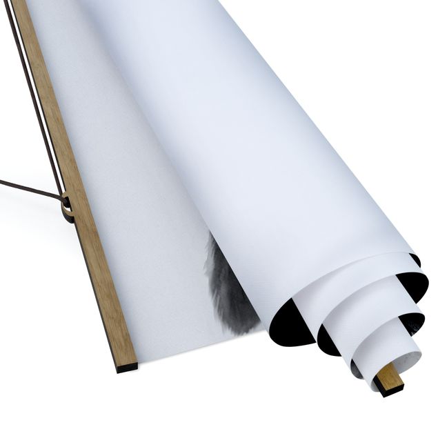 Quadro su tessuto con stecche per poster - Laura Graves - Illustrazione pittura Cane Border Collie Bianco e nero - Quadrato 1:1