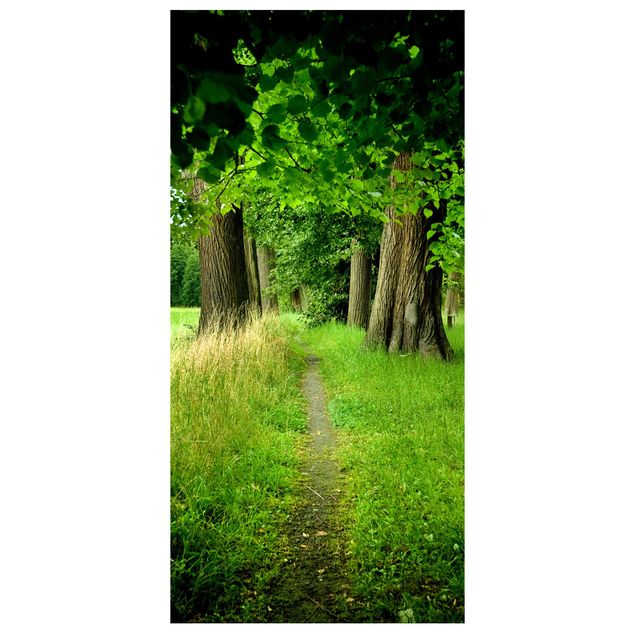 Tenda a pannello alberi - Luce nascosta nel sentiero - 250x120cm