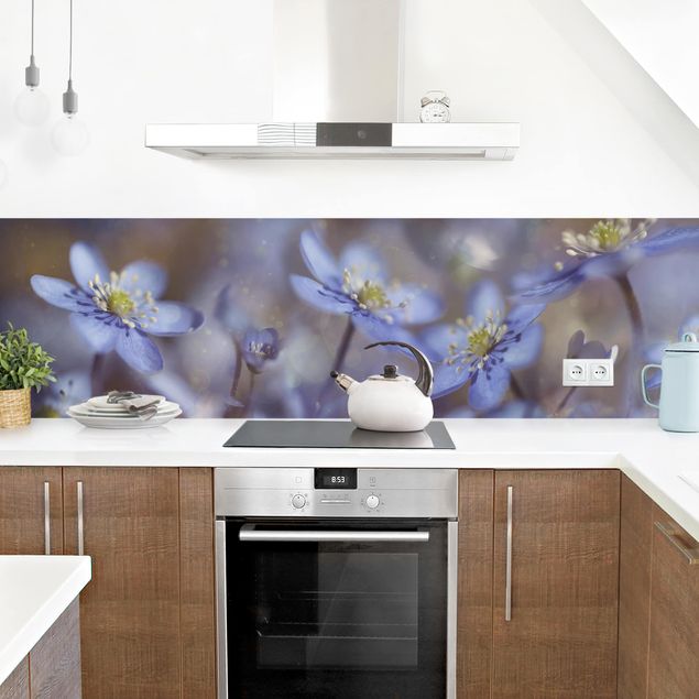 Rivestimenti cucina di plastica Anemone in blu