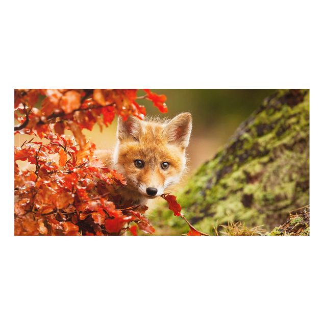 Paraschizzi in vetro - Fox in Autumn