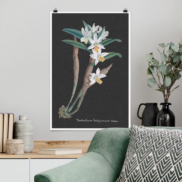 poster da parete vintage Orchidea bianca su lino I