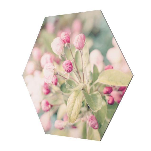 Esagono in Alluminio Dibond - Apple Blossom rosa bokeh
