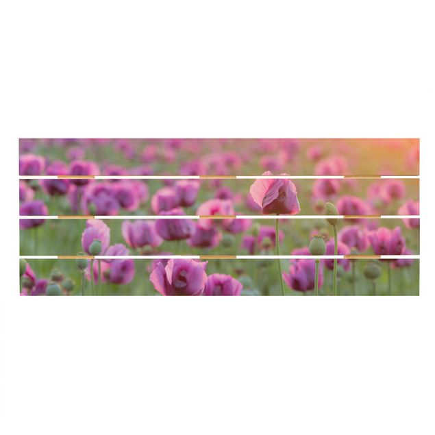 Stampa su legno - Viola di papavero Fiore prato in primavera - Orizzontale 2:5