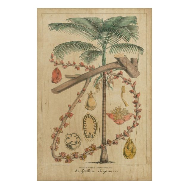 Stampa su legno - Consiglio Vintage Exotic Palms II - Verticale 3:2