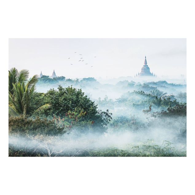 Paraschizzi in vetro - Nebbia mattutina sulla giungla di Bagan - Formato orizzontale 3:2