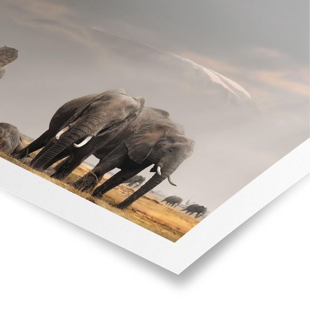 Poster - Elephant Savanna - Verticale 4:3