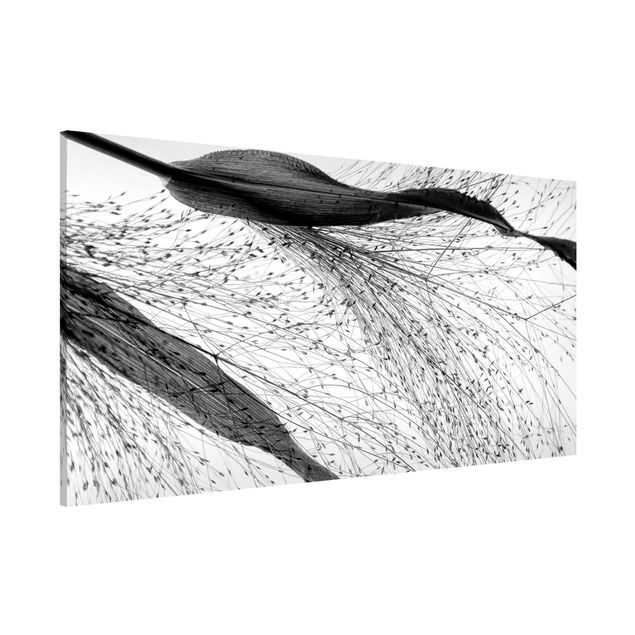 Lavagna magnetica per ufficio Canna delicata con boccioli sottili in bianco e nero