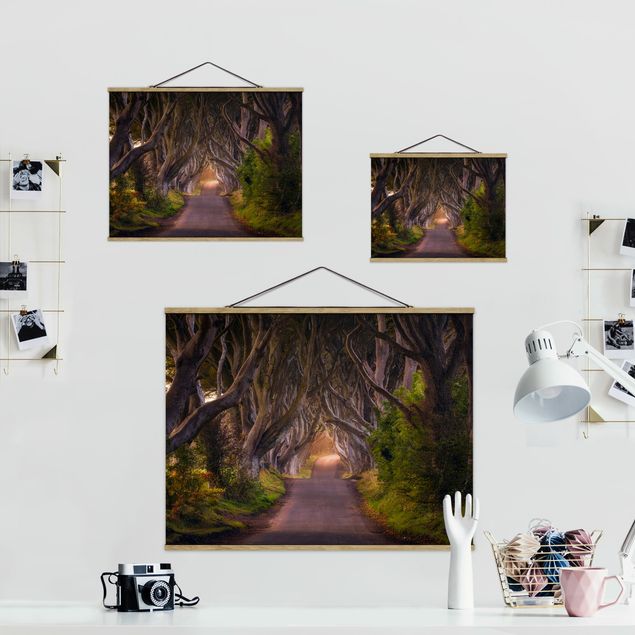 Foto su tessuto da parete con bastone - Tunnel dagli alberi - Orizzontale 3:4