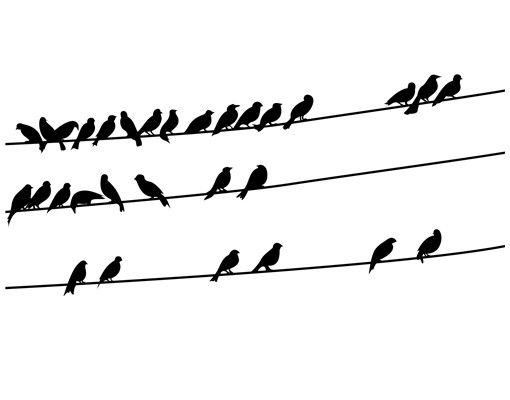 Adesivo per finestre - No.IS21 Flock of Birds
