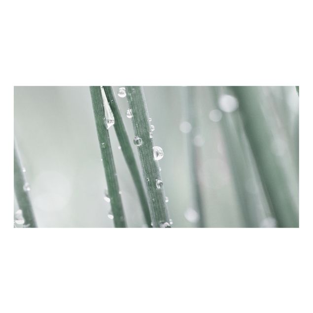Paraschizzi in vetro - Macro inQuadratoura di perle d'acqua nell'erba - Formato orizzontale 2:1