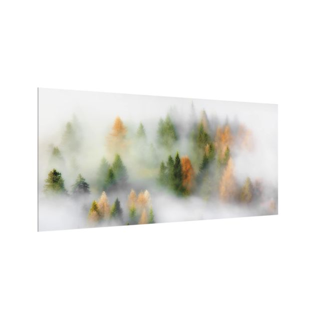 Paraschizzi in vetro - Cloud Forest In Autumn