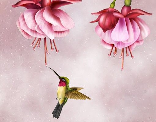 Pellicola per vetri con uccelli Line Art colibrì
