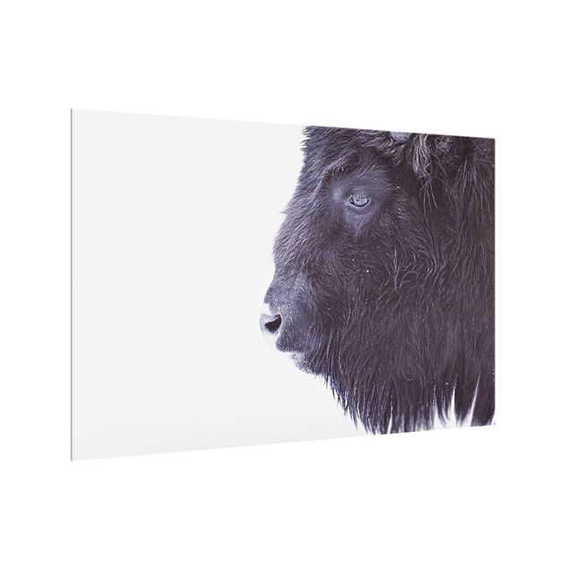 Paraschizzi in vetro - Ritratto di bufalo nero - Formato orizzontale 3:2