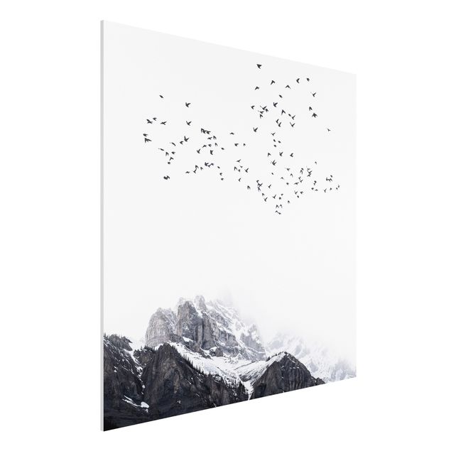 quadri con animali Stormo di uccelli di fronte alle montagne in bianco e nero