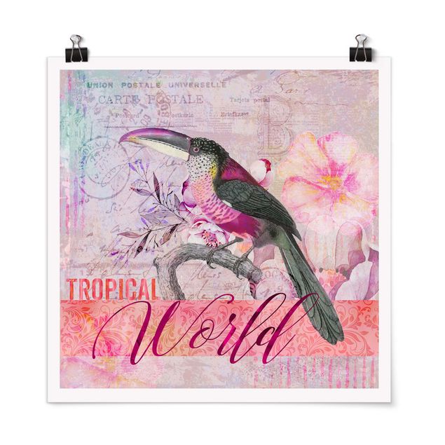 Poster - Vintage Collage - Tropical World Tucan - Quadrato 1:1