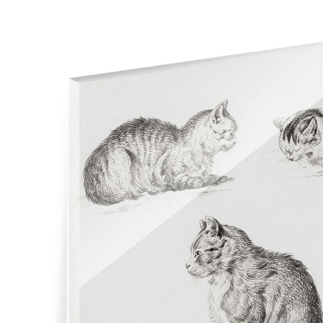 Quadro in vetro - Vintage Disegno Cat I - Verticale 3:2