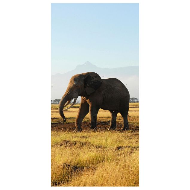 Tenda a pannello Elephant in front of the Kilimanjaro in Kenya 250x120cm