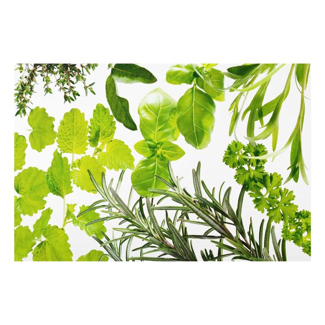 Paraschizzi in vetro - Various Herbs