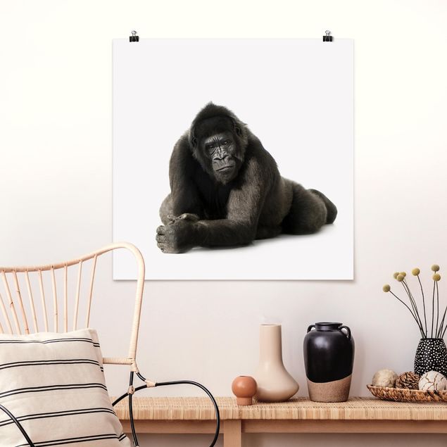 Poster cameretta bambini animali Gorilla sdraiato ll