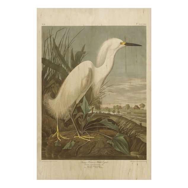 Stampa su legno - Consiglio Vintage White Heron I - Verticale 3:2