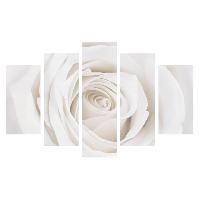 Stampa su tela 5 parti - Pretty White Rose