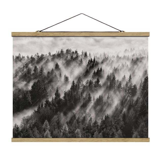 Foto su tessuto da parete con bastone - Raggi Luce nella foresta di conifere - Orizzontale 3:4