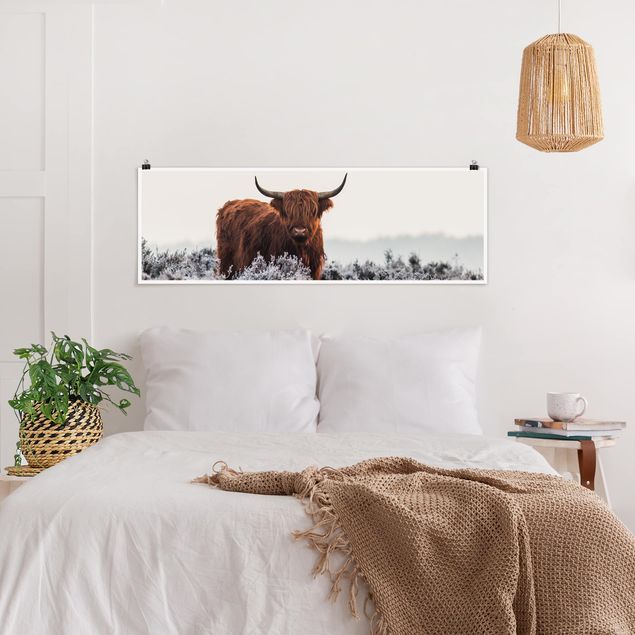 Poster - Bison nelle Highlands - Panorama formato orizzontale