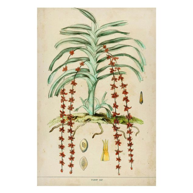 Lavagna magnetica - Consiglio Vintage Exotic Palms IV - Formato verticale 2:3